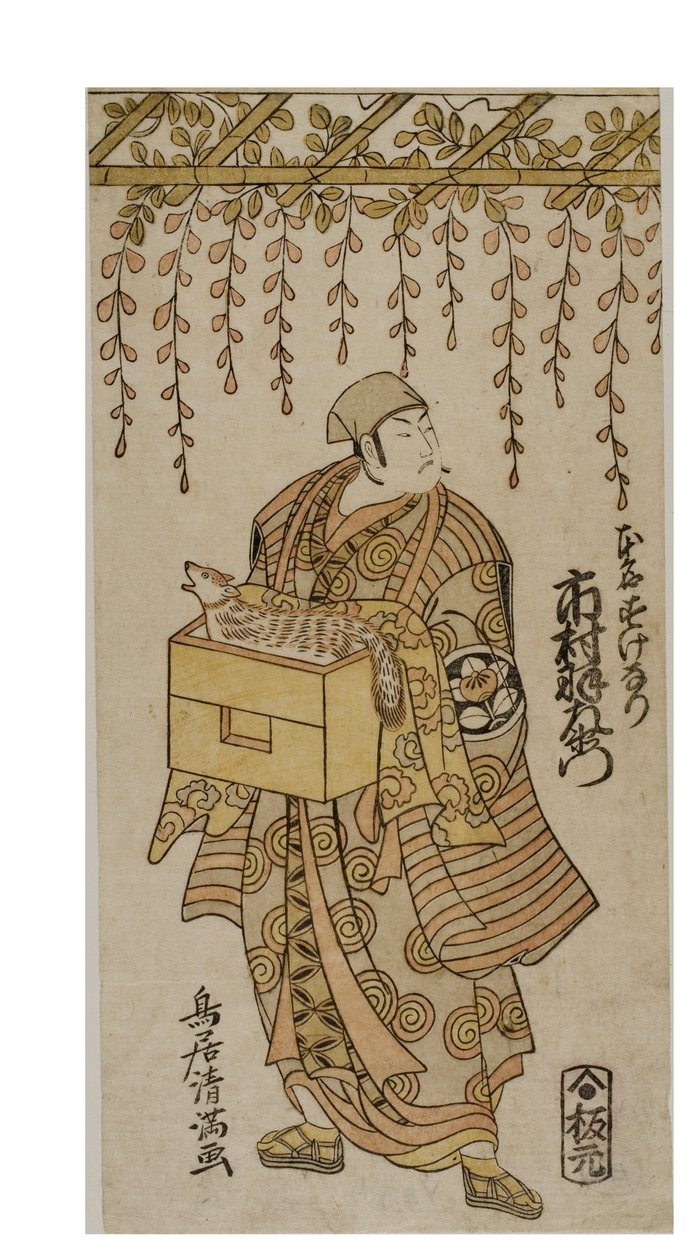 Kabukinäyttelijä Ichimura Uzaemon. Näyttelijä seisoo vesakkopuun alla ja hänellä on kettu laatikossa. tekijältä Torii Kiyomitsu