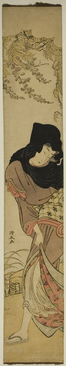 Nainen Windblown Wisterian alla tekijältä Torii Kiyonaga