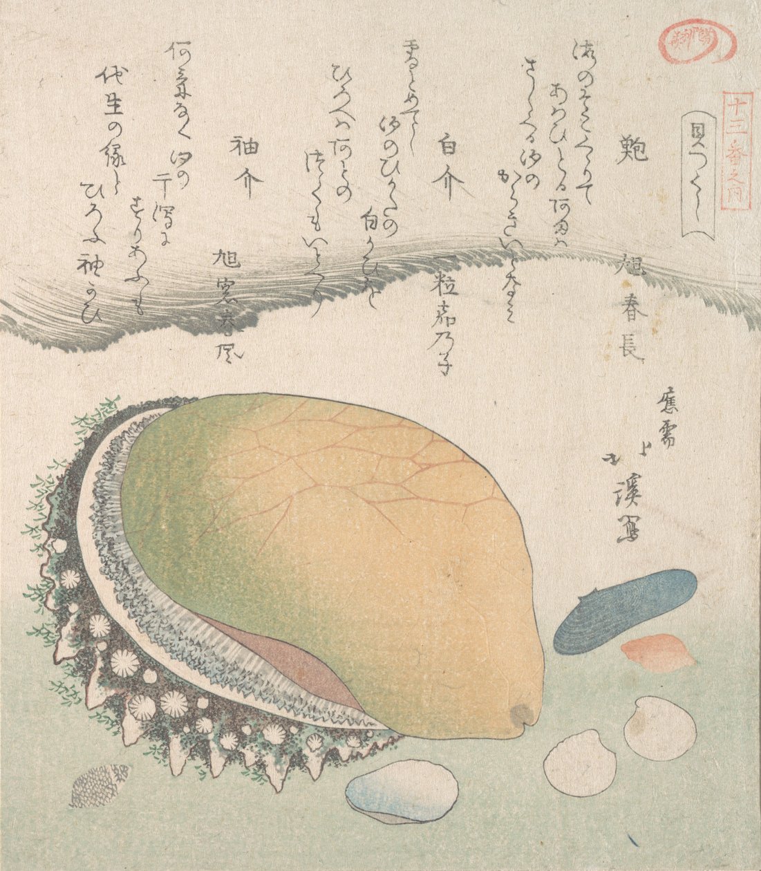 Awabi Ear-Shell ja erilaiset kuoret, 1800-luku. tekijältä Totoya Hokkei