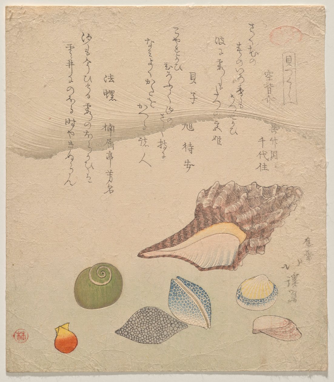 Seven Shells at the Edge of the Sea, sarjasta Shells Compendium (Kaizukushi) tekijältä Totoya Hokkei