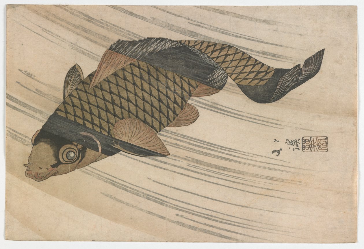 Karppiuinti ylävirtaan, Edo-kausi, 1820-luvun puoliväli (värillinen puupainatus) tekijältä Toyota Hokkei
