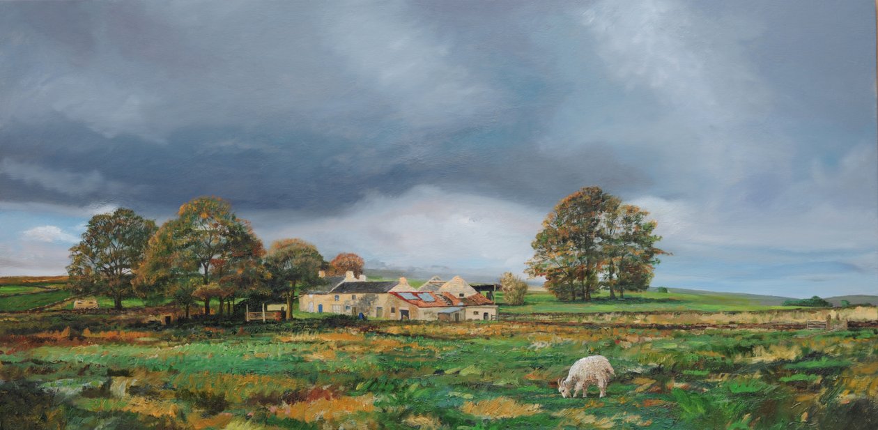 Old Farm, Monyash, Derbyshire, 2009 tekijältä Trevor Neal
