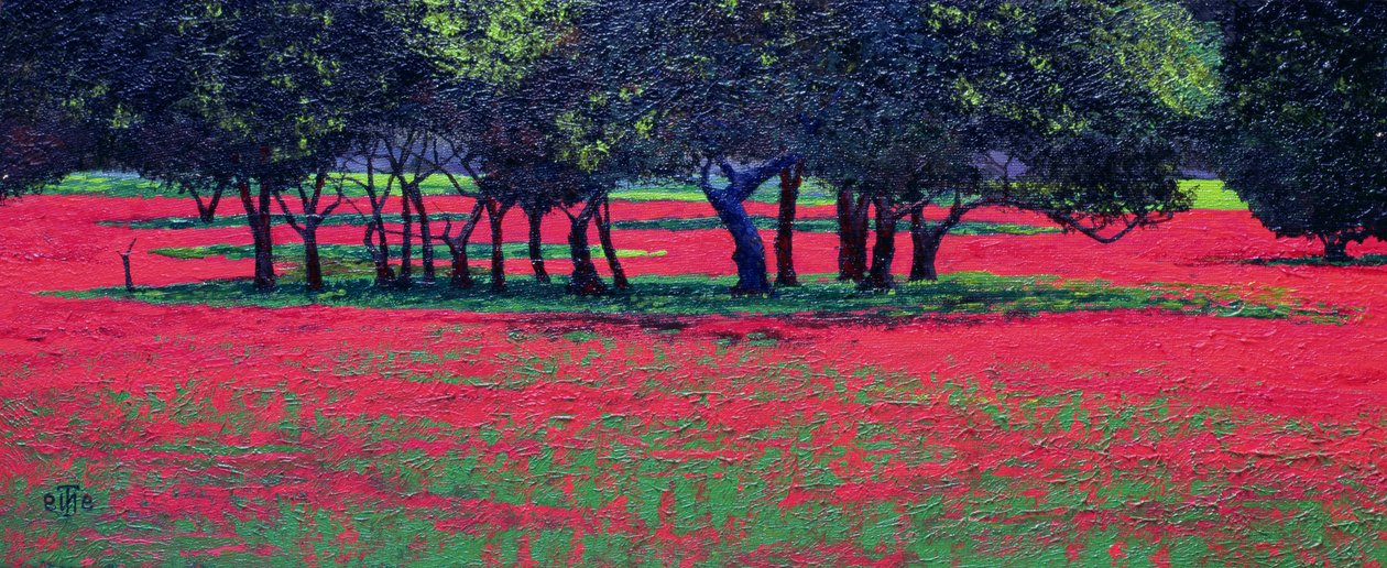 Red Shock, 1999 tekijältä Trevor Neal