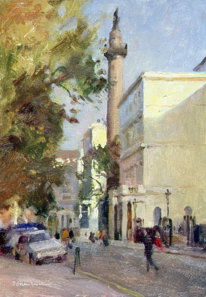 Carlton House Terrace (öljy kankaalle) tekijältä Trevor Chamberlain