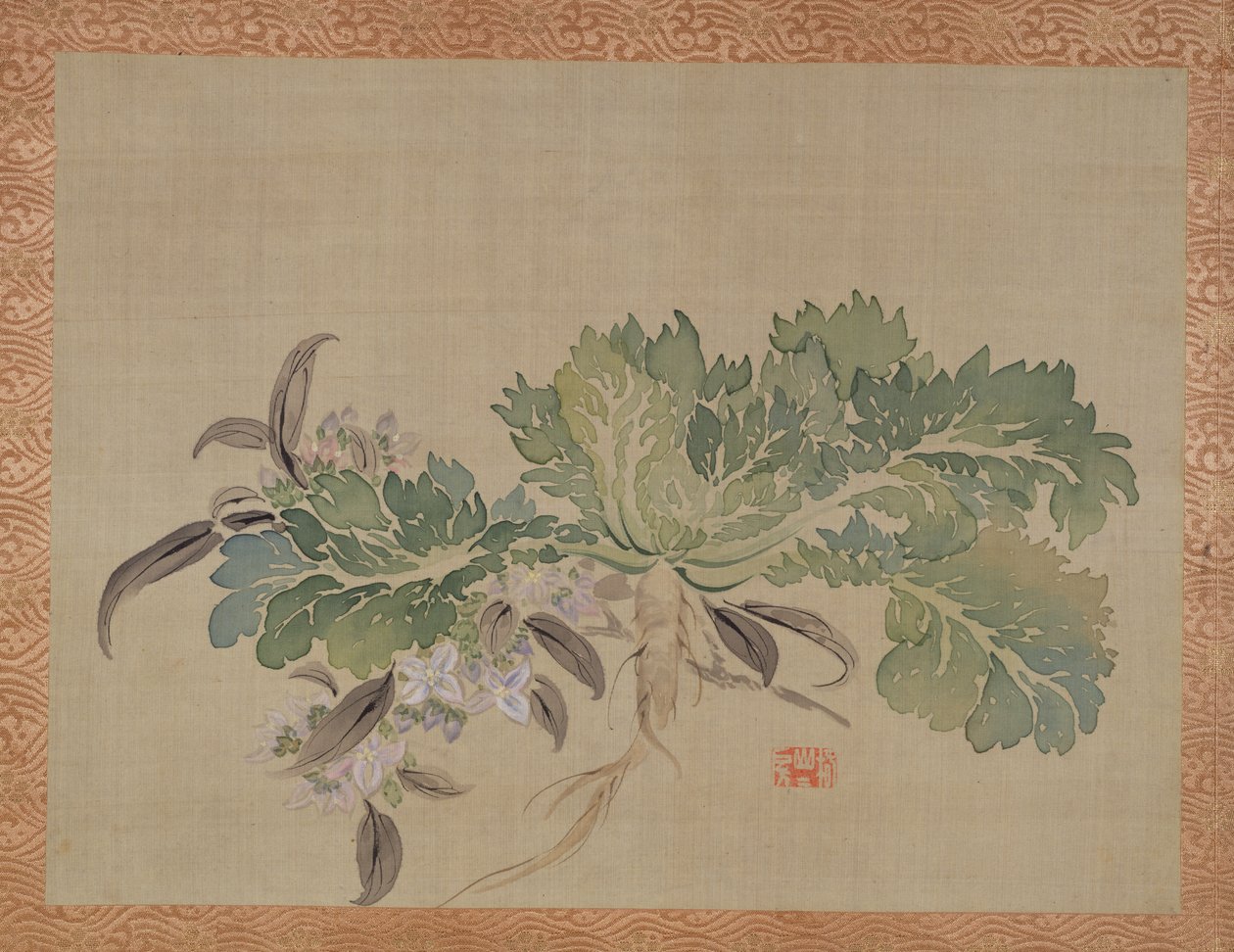 Tuberoosi, 1851 (akvarelli silkille) tekijältä Tsubaki Chinzan