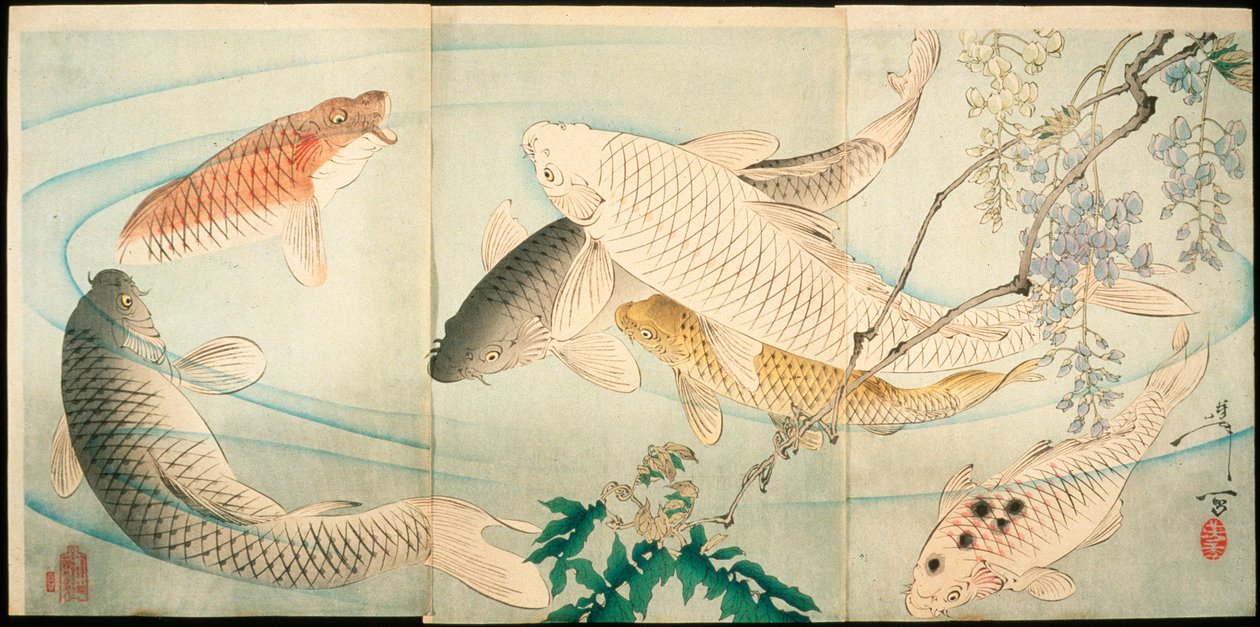 Karp ja wisteria tekijältä Tsukioka Yoshitoshi
