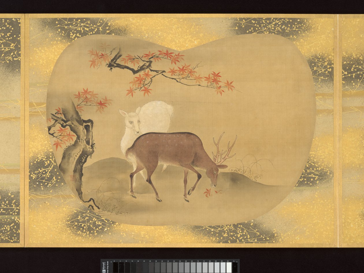 Albumi viuhkanmuotoisia maalauksia hahmoista, linnuista ja kukista. tekijältä Tsunenobu Kano