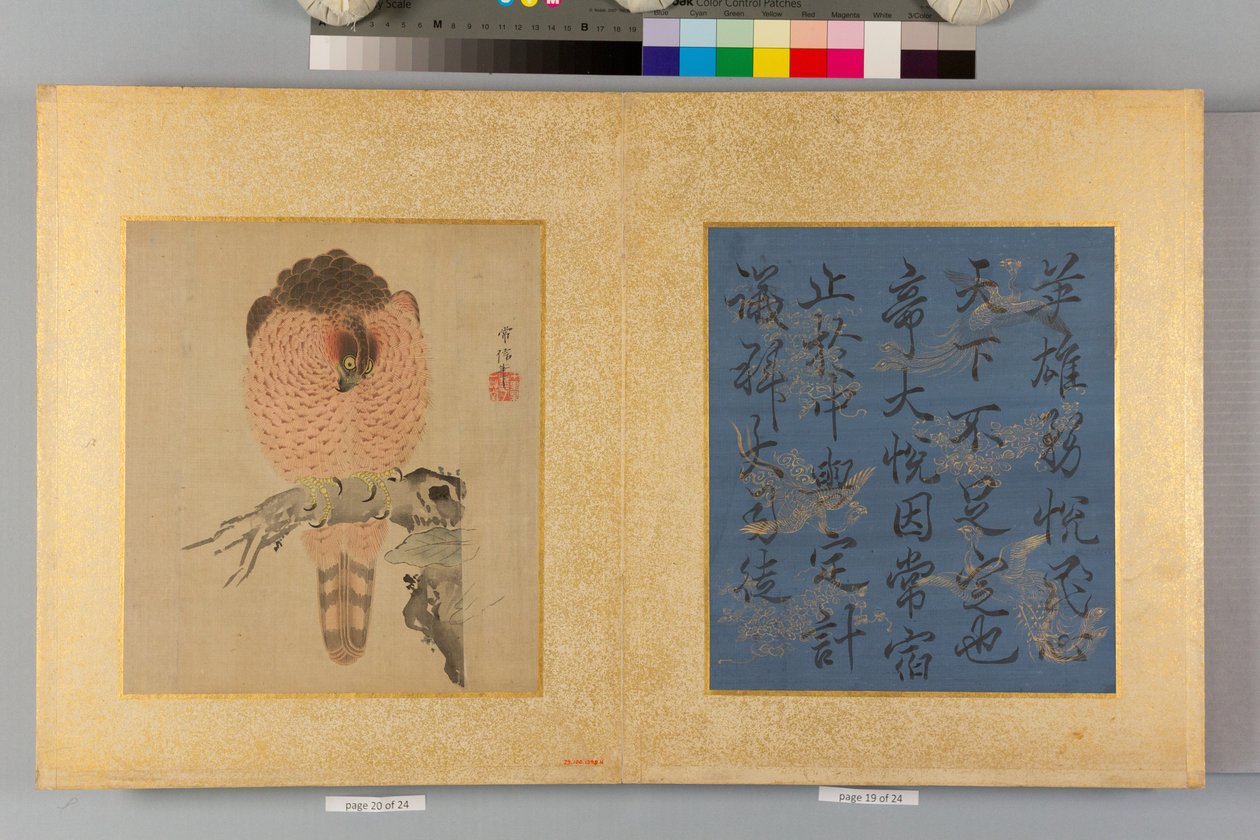 Haukkoja ja kalligrafiaa sisältävä albumi tekijältä Tsunenobu Kano