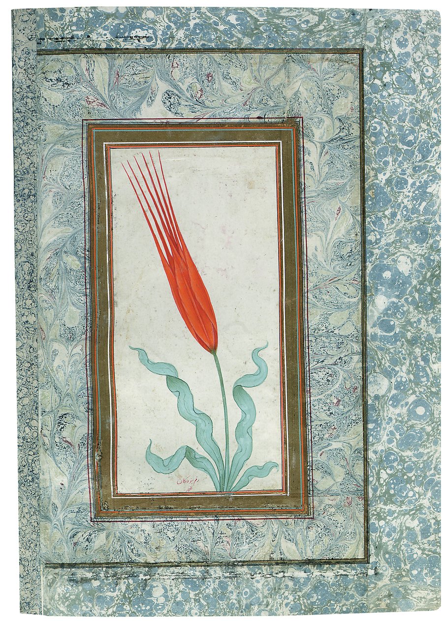 Sivu Turkish Tulip -albumista, Istanbul, 1725 tekijältä Turkish School