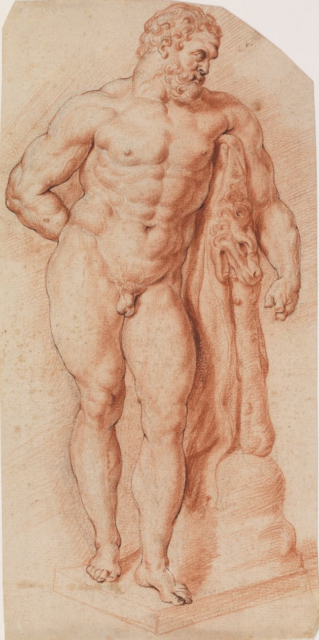Hercules Farnese, Napoli tekijältä Ubekendt