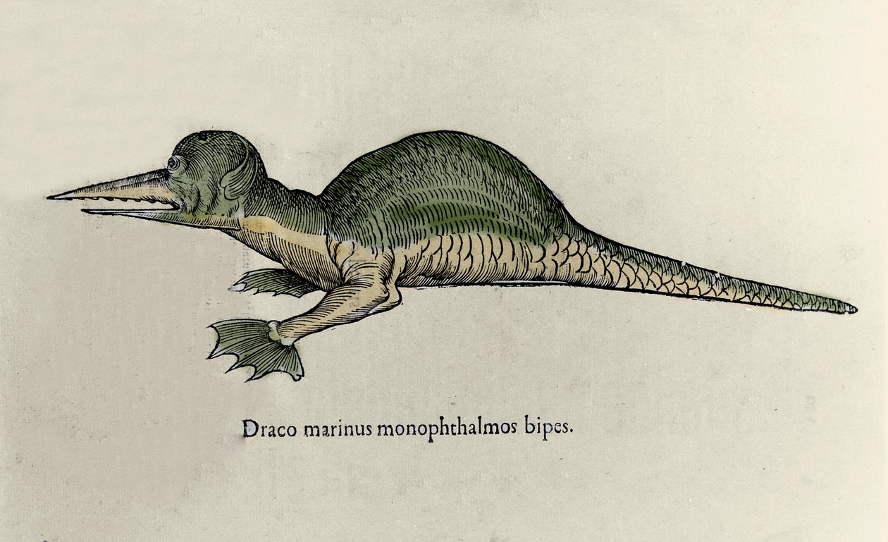 Meren lohikäärmeen esitys. Ulisse Aldrovandin (1522-1605) luonnontieteellisen käsikirjoituksen levy hirviöistä tekijältä Ulisse Aldrovandi