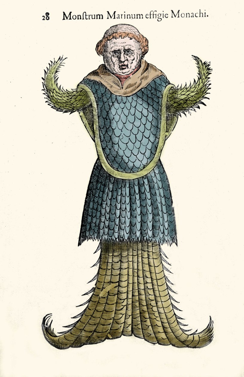Ulisse Aldrovandin (1522-1605) merimunkki, kuvitteellinen kala ja merihirviö, "Monstrorum Historiae", Bologna 1642 tekijältä Ulisse Aldrovandi