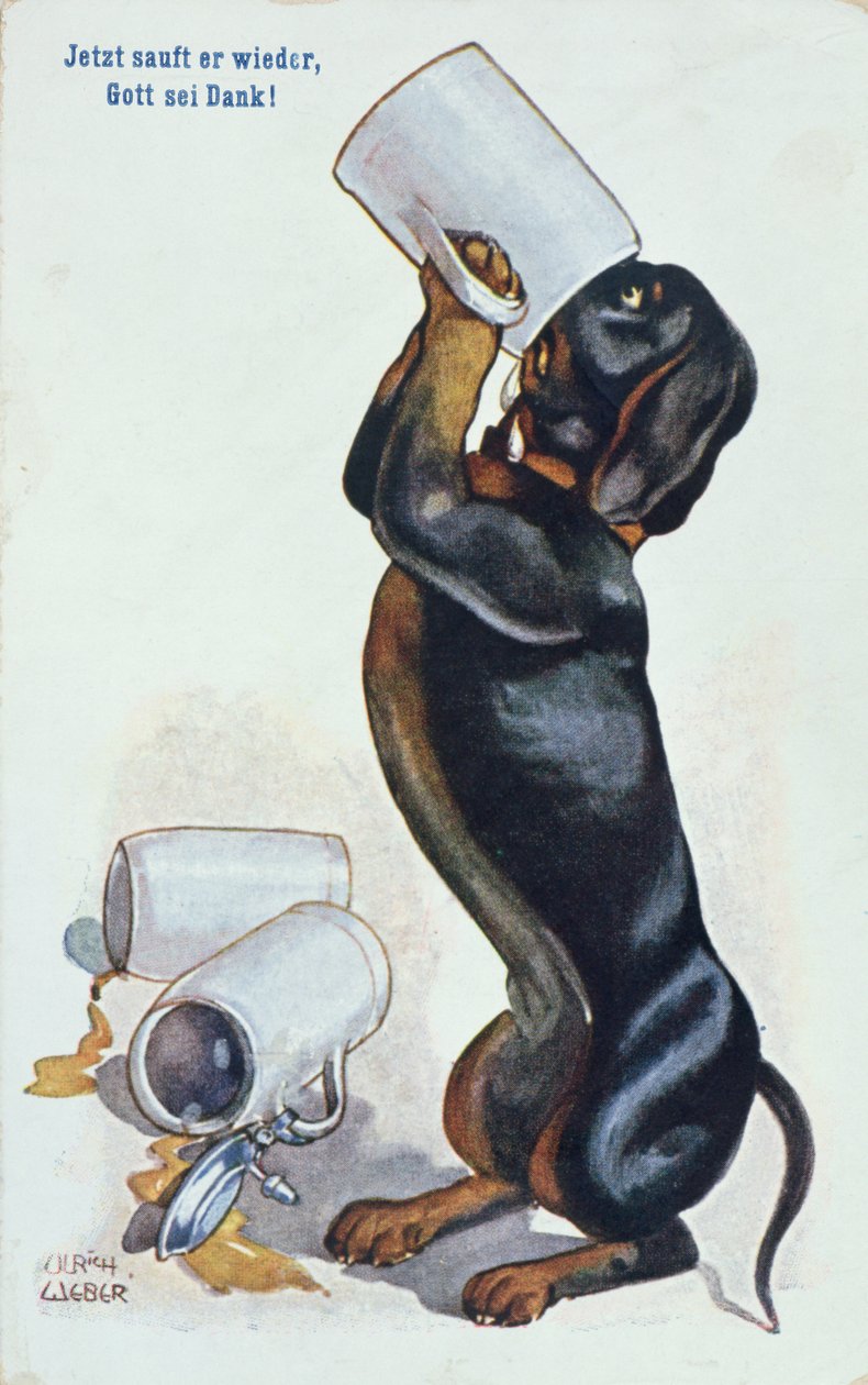 Mäyräkoira juo olutta, n. 1900 tekijältä Ulrich Weber