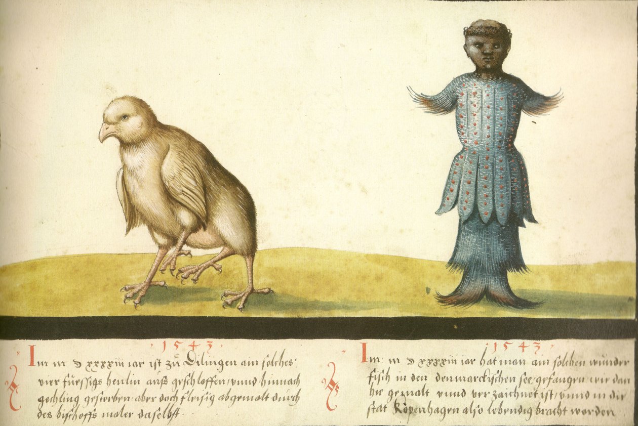 Folio 145- Wundersames Huhn und wundersamer Fisch 1543 tekijältä Unbekannt Unbekannt