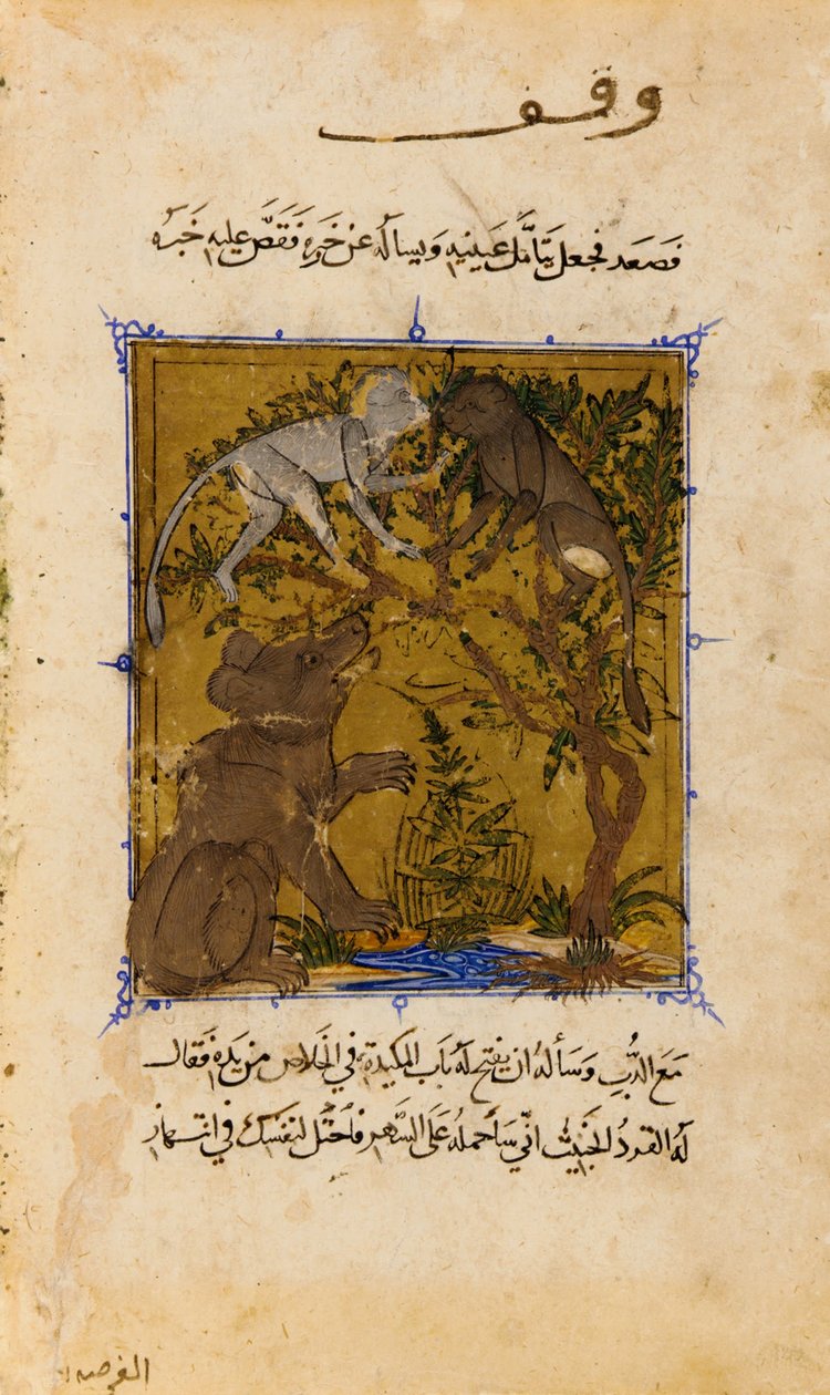 Ibn Zafarin Sulho al-Muta -folio; verso- Tarina karhusta ja ... tekijältä Unbekannt Unbekannt
