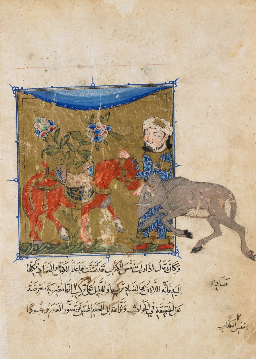 Folio Ibn Zafarin Sulwan al-Muta -teoksesta; kääntöpuoli: Sika ja hevonen. tekijältä Unbekannt Unbekannt