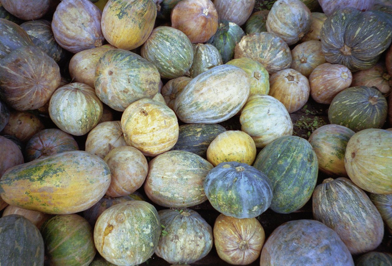 Melonit, 1995 (kuva) tekijältä Unbekannt Unbekannt
