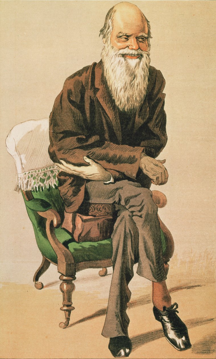 Päivän miehet, ei. 33, Charles Darwin, sarjakuva Vanity Fairista tekijältä Unbekannt Unbekannt