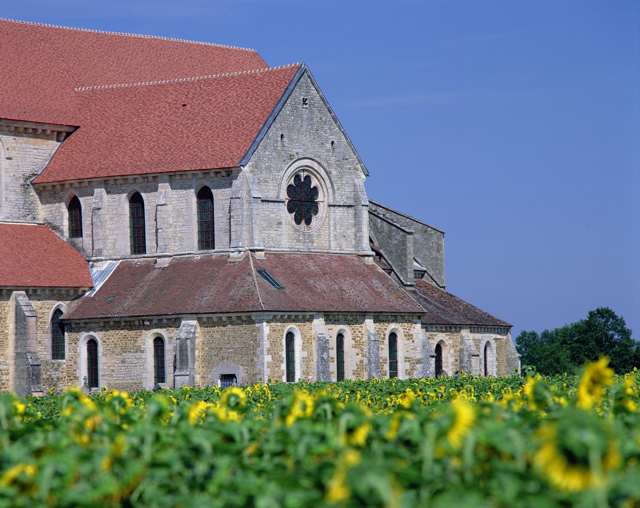 Pontigny Abbey tekijältä Unbekannt Unbekannt