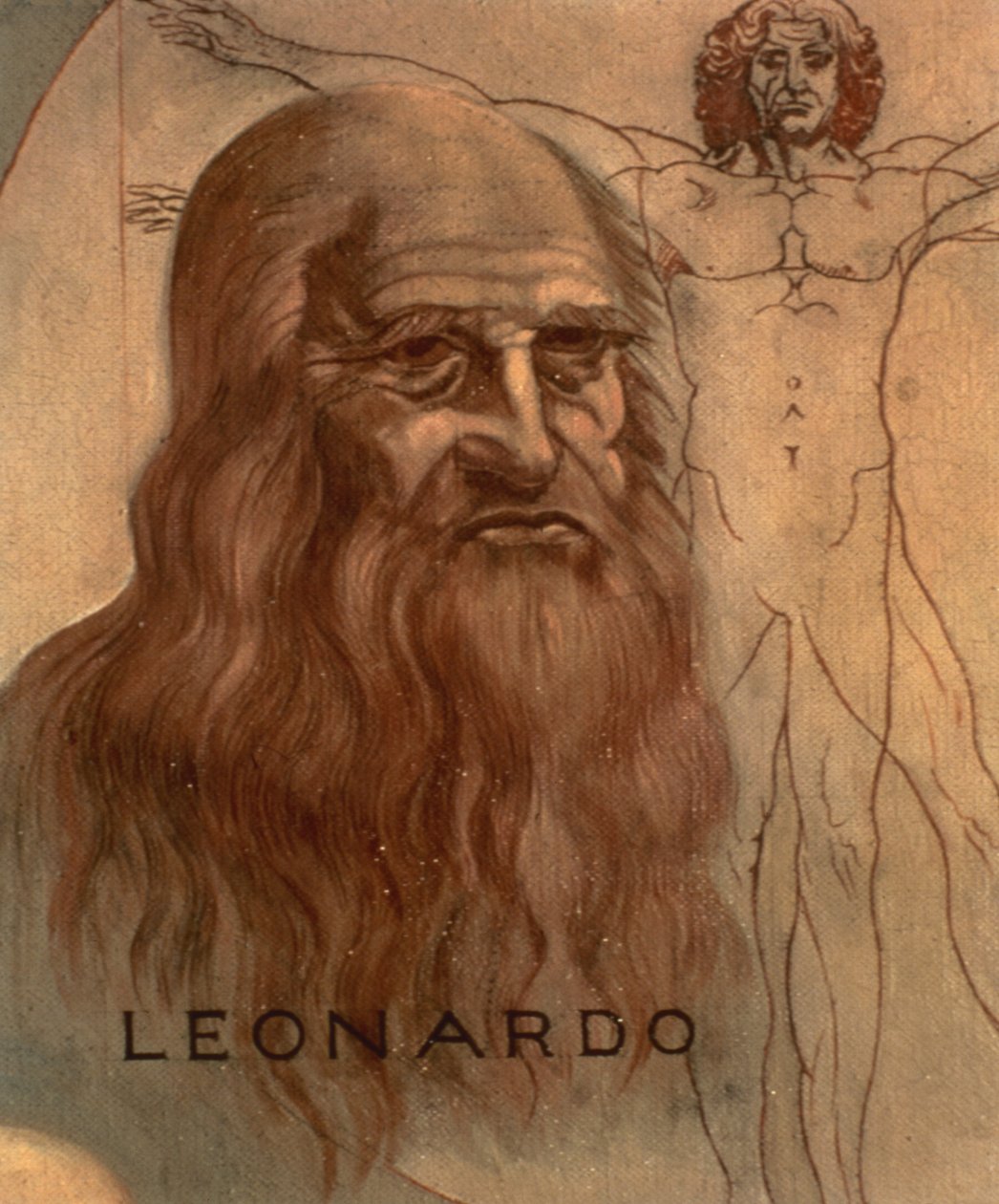 Leonardo da Vincin muotokuva hänen "Vitruvian-miehensä" kanssa tekijältä Unbekannt Unbekannt