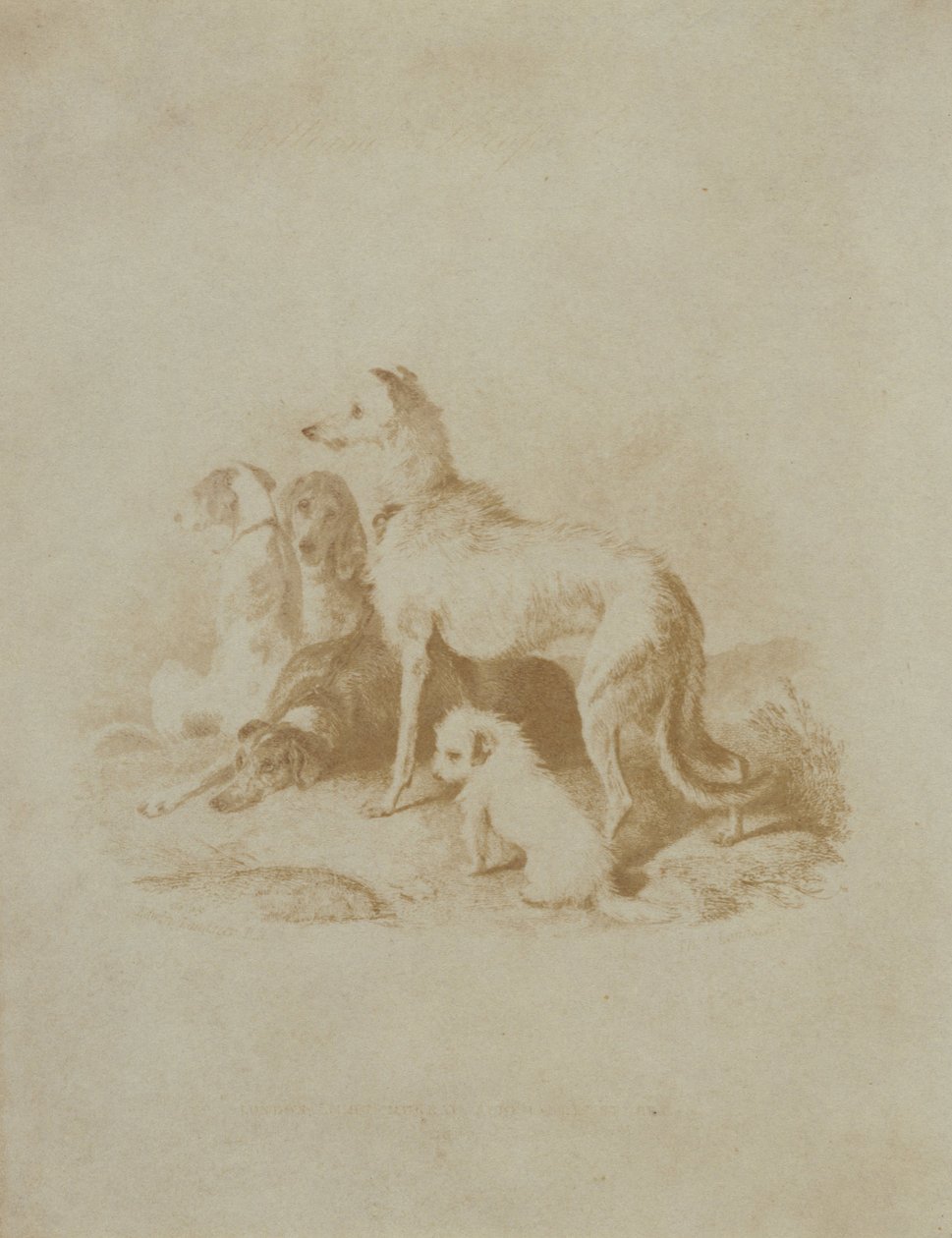 Tuntematon valmistaja, brittiläinen - (A Group of Five Dogs) tekijältä Unbekannt Unbekannt
