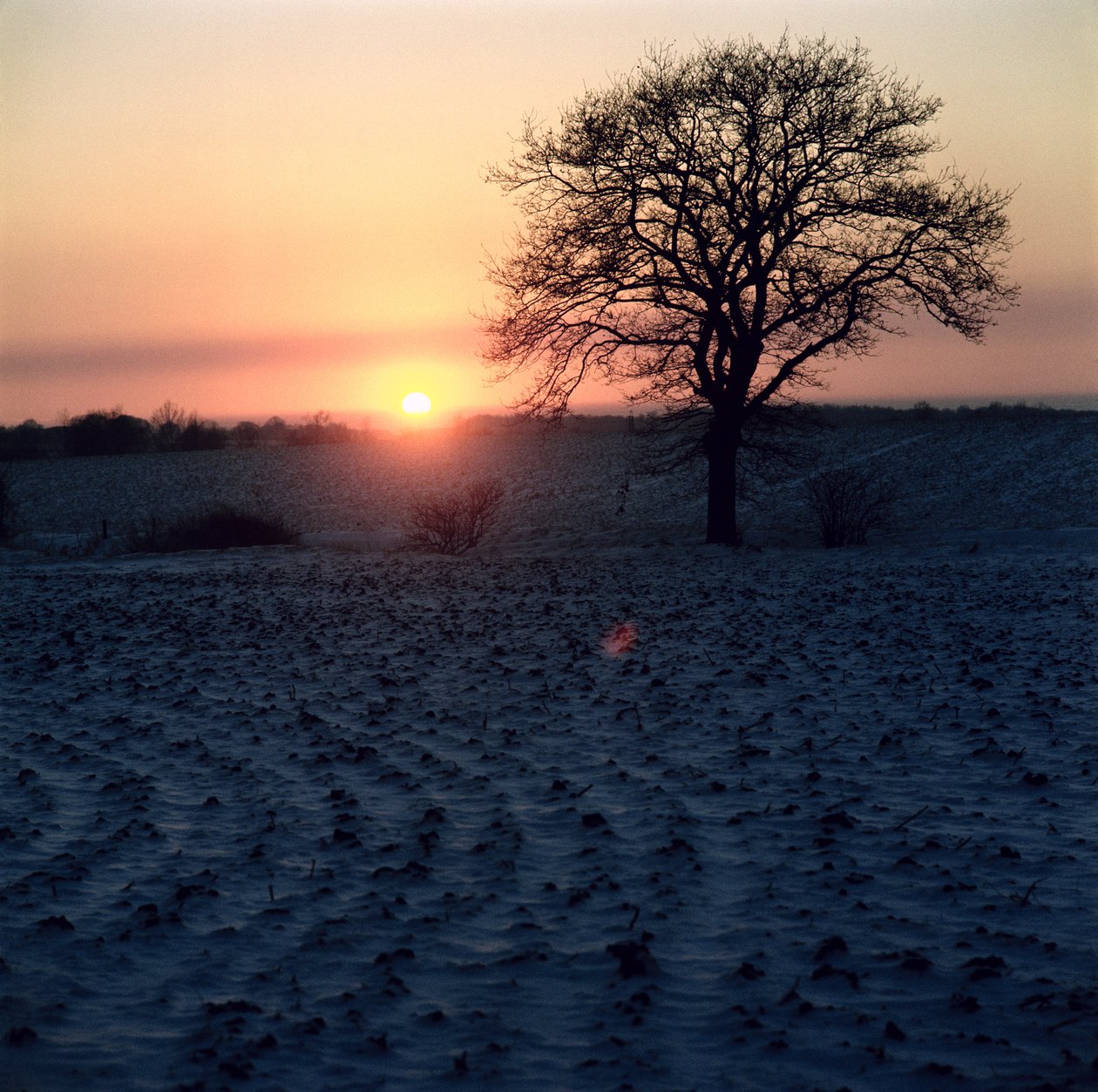 Winter Sunset, Essex tekijältä Unbekannt Unbekannt