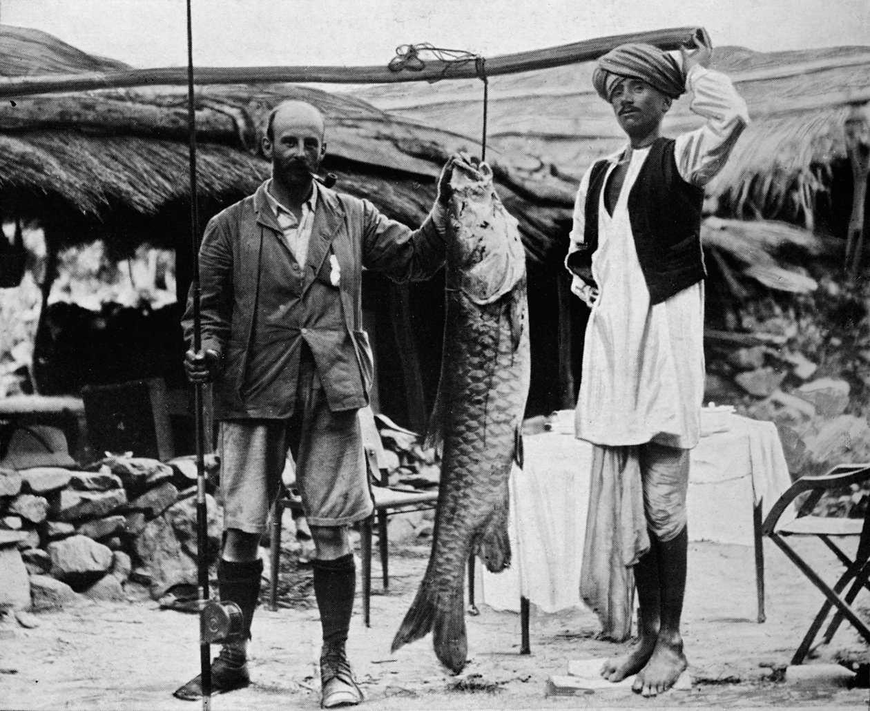 59 lb Mahseer, vangittuna kapteeni H. B. D. Campbell, R.E., Upper Ganges, c1903, 1903 tekijältä Unbekannt
