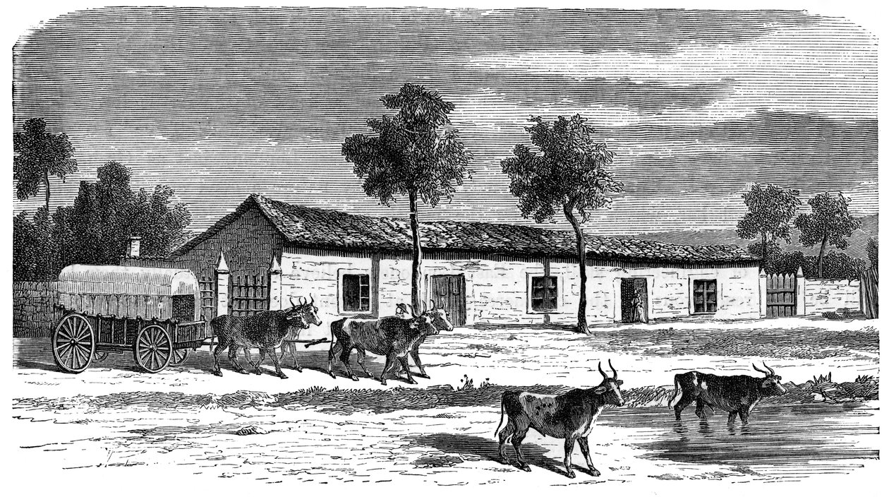 Buuritila, Etelä-Afrikka, 1890 tekijältä Unbekannt