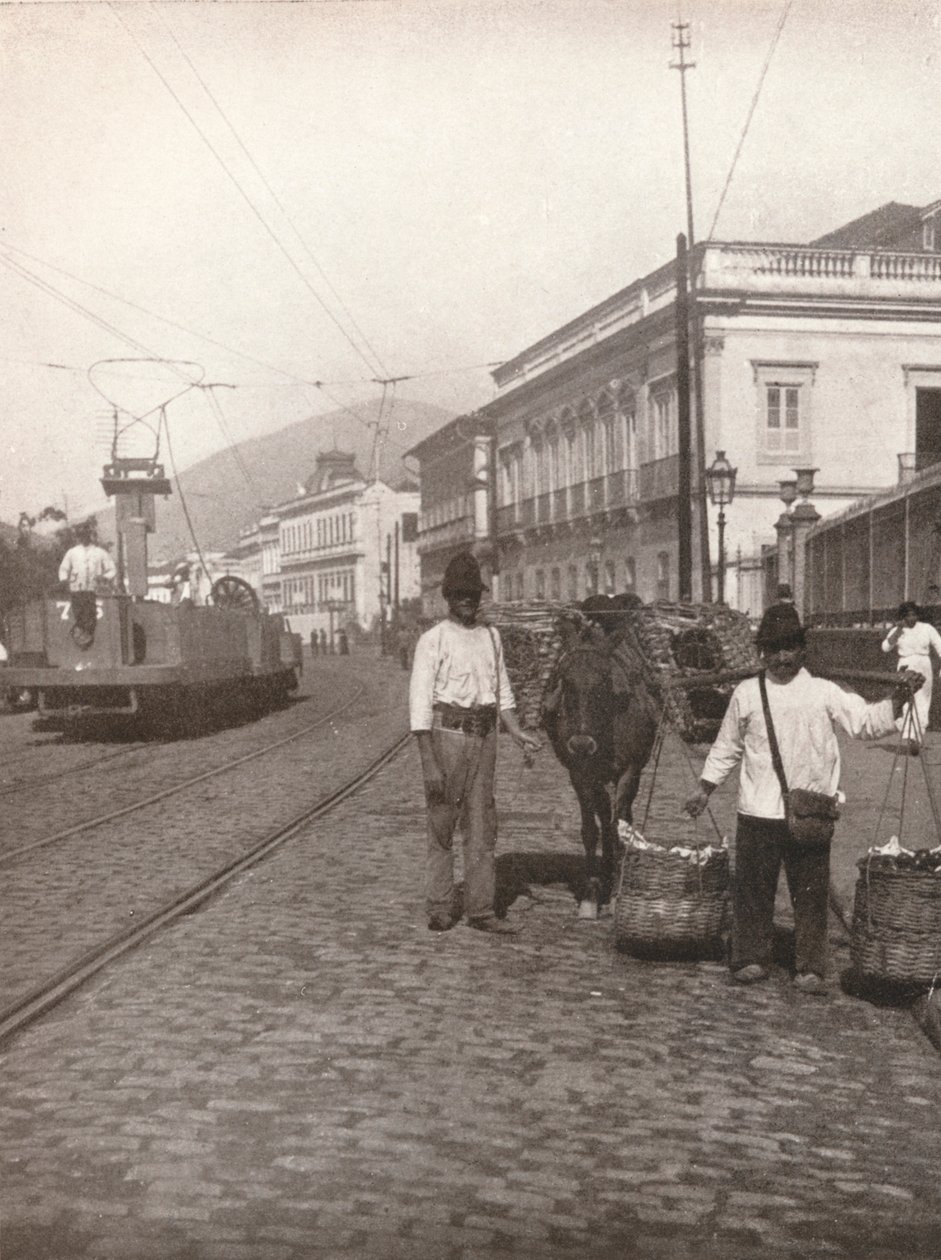 Botafogon katunäkymä, Rio, 1914 tekijältä Unbekannt