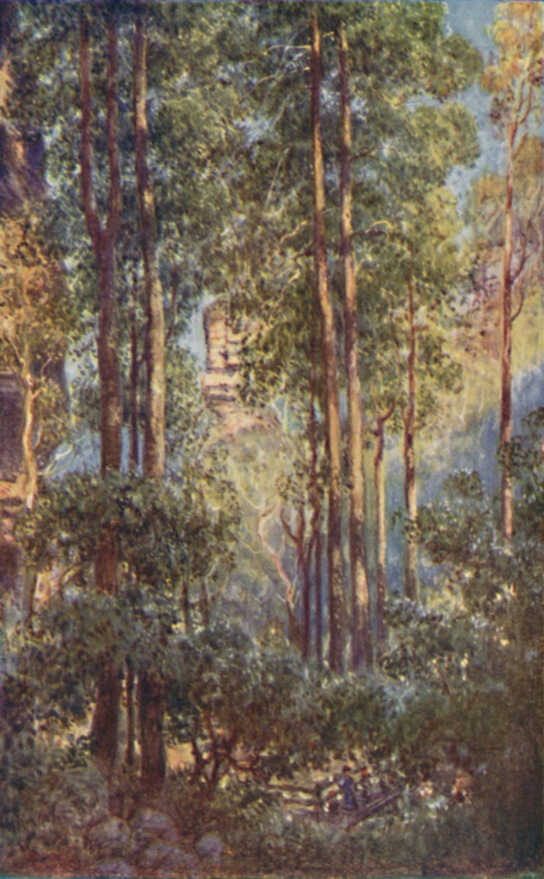Bush Valley New South Walesissa, 1923. tekijältä Unbekannt