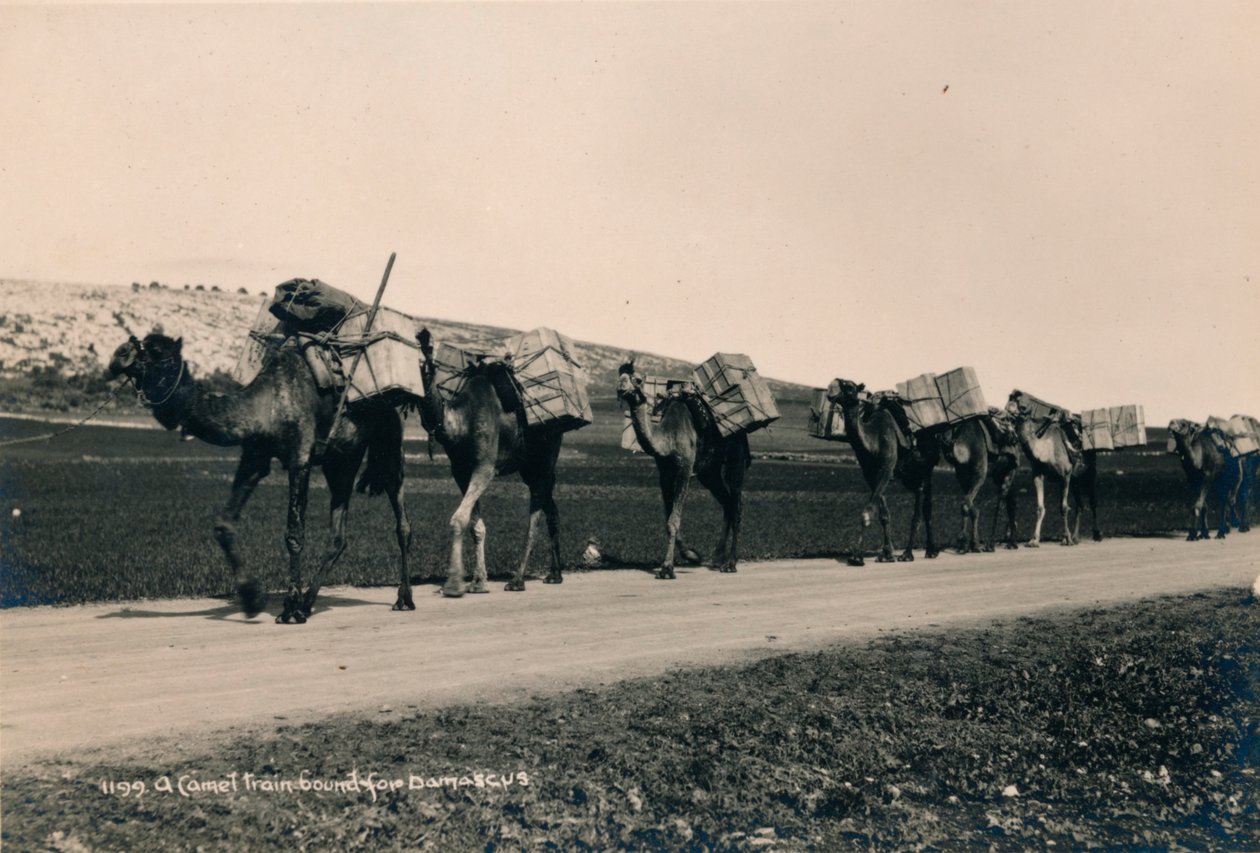 Kamelijuna matkalla Damaskokseen, 1936 tekijältä Unbekannt