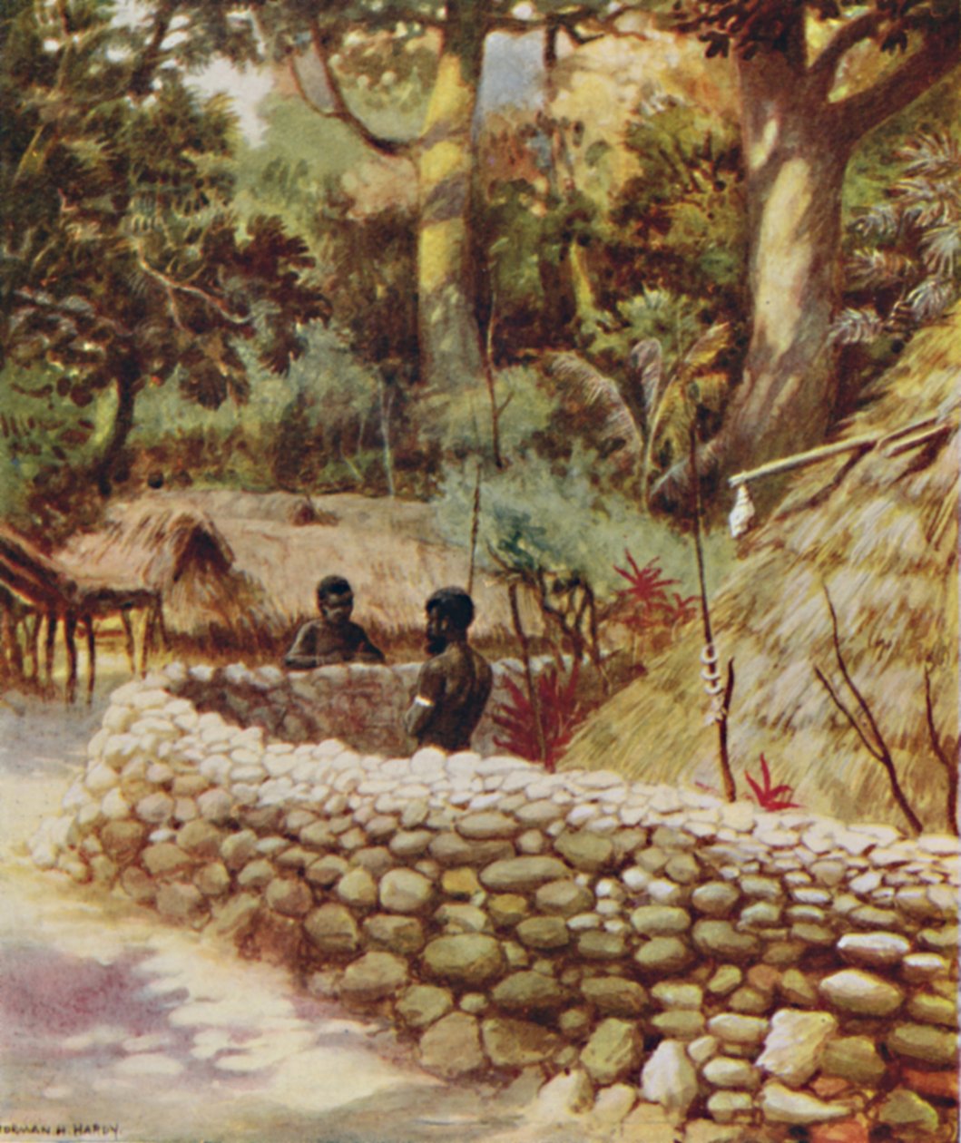 Chiefs House, New Hebrides, 1923. tekijältä Unbekannt