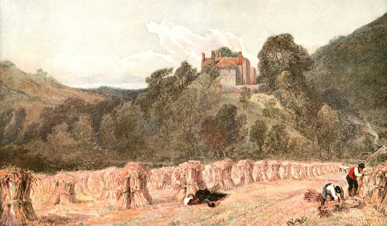 Cornfield, 1840-luku, 1900-luku. tekijältä Unbekannt