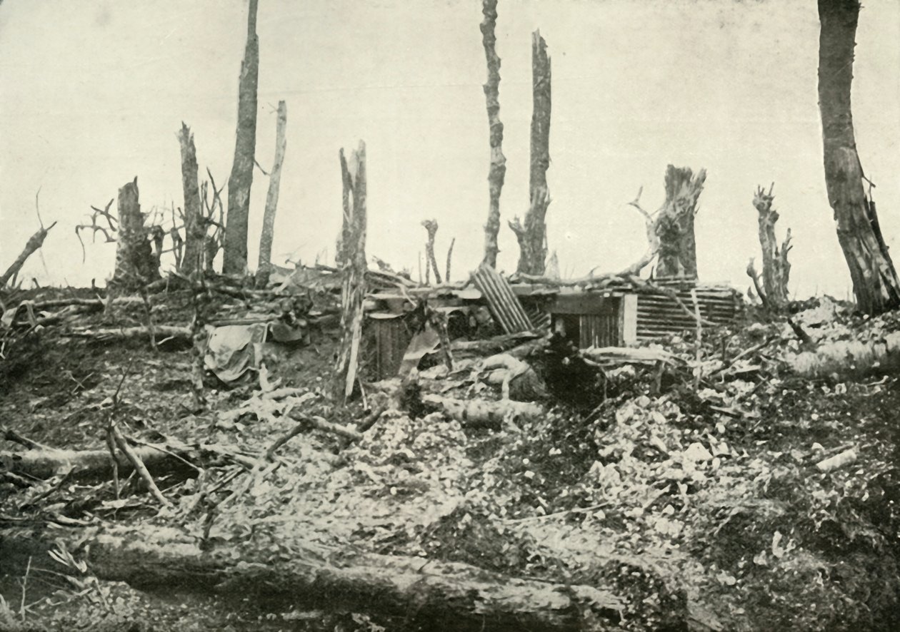 Kaivettu ulos Sylvan Woodissa, 1919. tekijältä Unbekannt