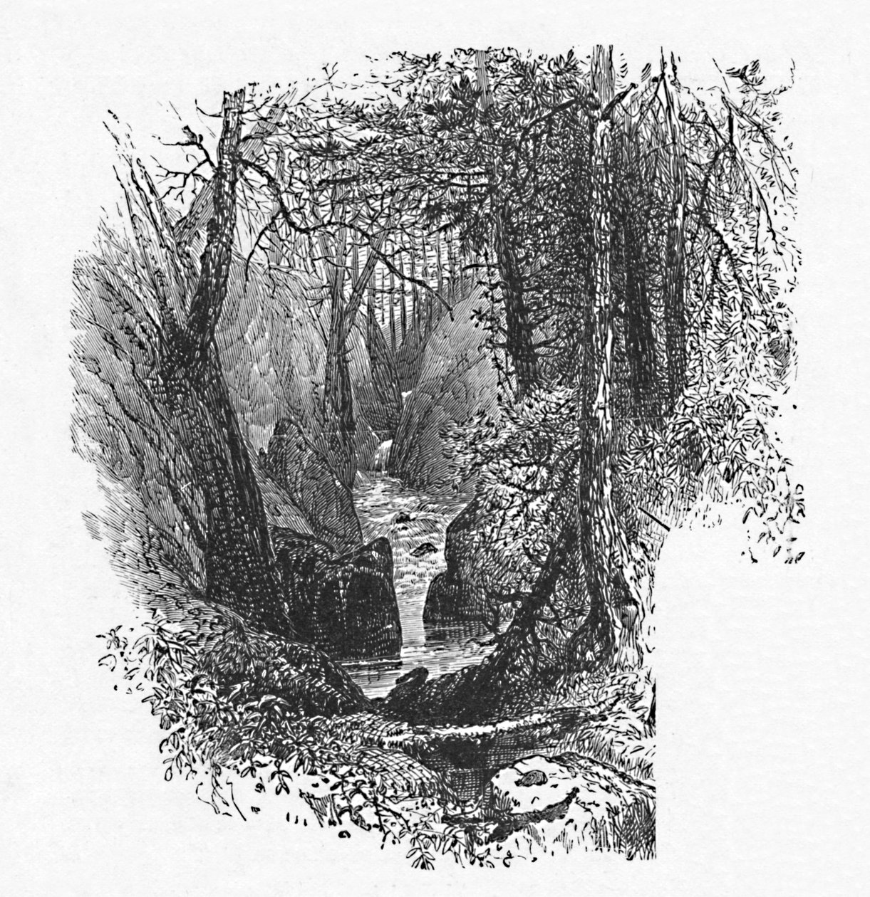 Syöttäjä järvelle, 1883 tekijältä Unbekannt