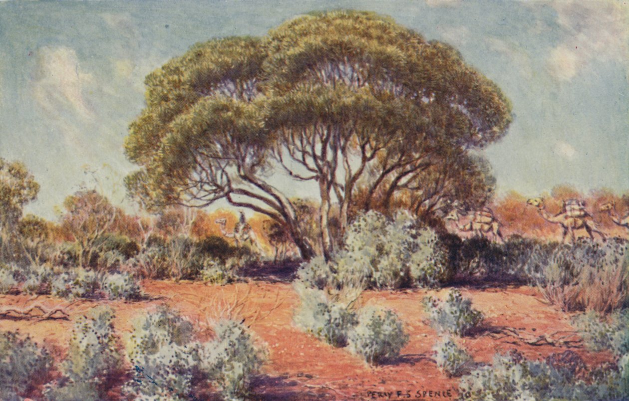 Hedelmällinen paikka Keski-Australiassa, 1923. tekijältä Unbekannt