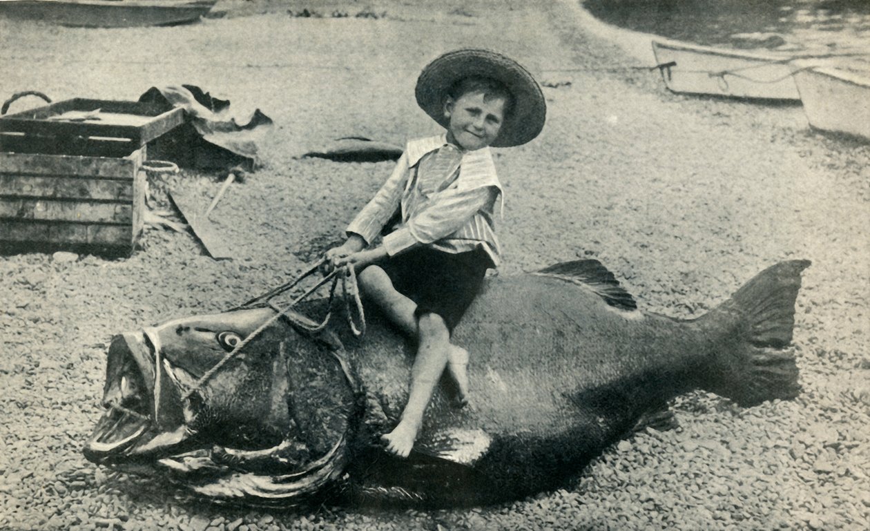 Fishy Steed! - Mustameribassi - paino 363 paunaa, 1901. tekijältä Unbekannt