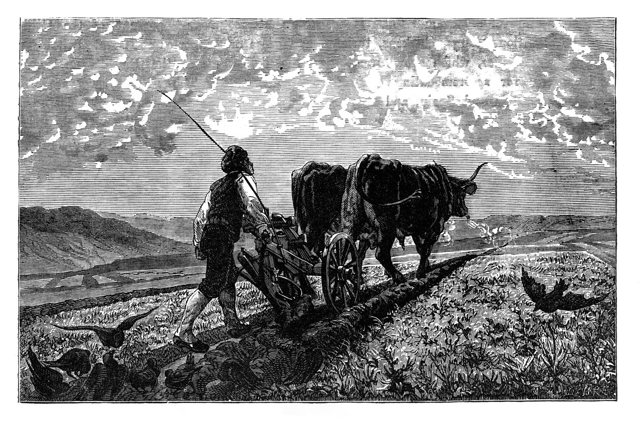 Ranskalainen maanviljelijä, 1890 tekijältä Unbekannt