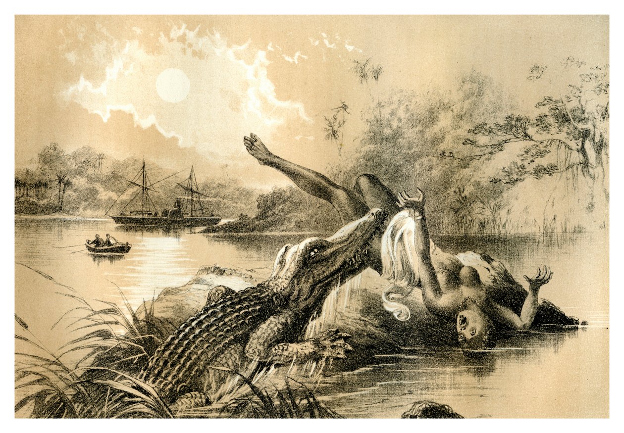 Pelottava tapaus, 1883 tekijältä Unbekannt