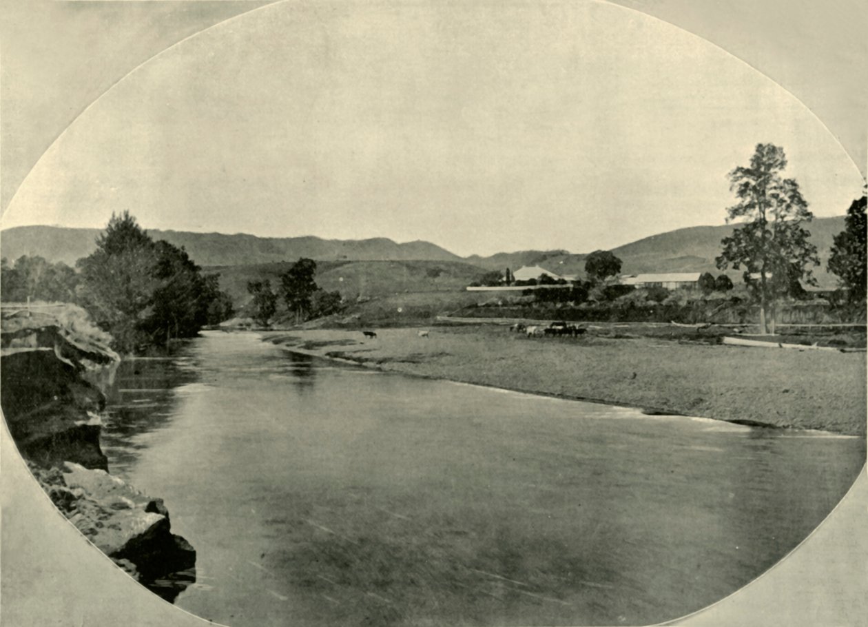 New South Wales Station Homestead, 1901. tekijältä Unbekannt