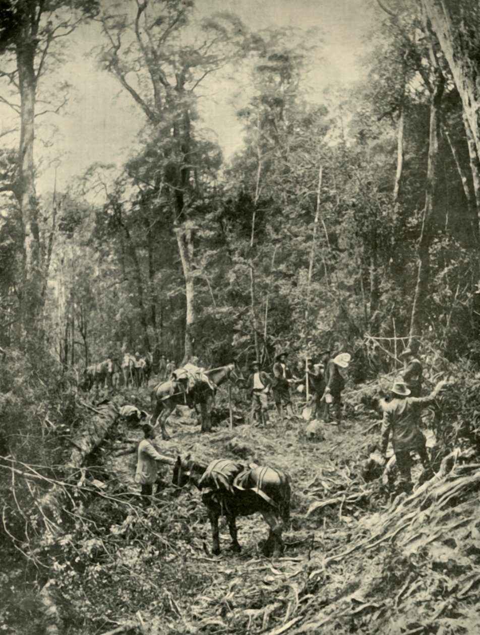 A Rough Road, Tasmania, 1901. tekijältä Unbekannt