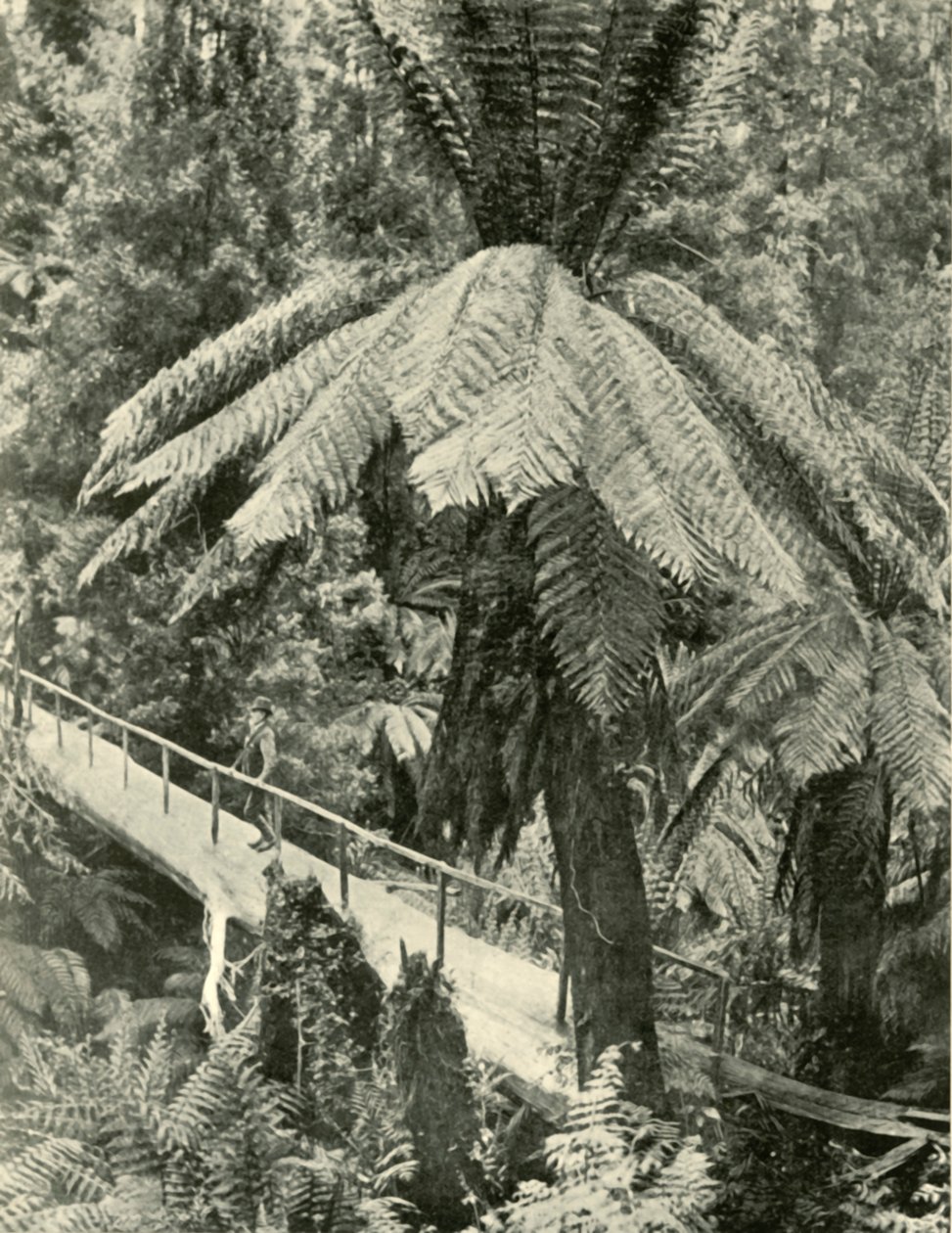 Maalaismainen silta, 1901. tekijältä Unbekannt