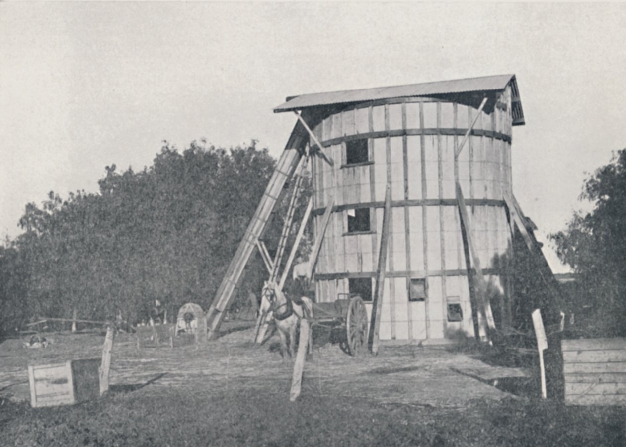 Siilo, lähellä Milduraa, Victoria, 1923. tekijältä Unbekannt