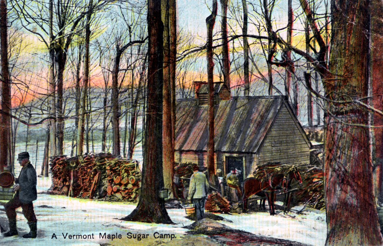 Vermont vaahterasokerileiri, USA, 1900-luvun alku tekijältä Unbekannt