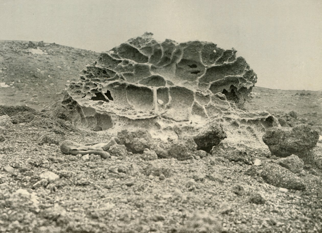 Haalistunut Kenyte-lohkare lähellä talvikorttelia, c1908, 1909. tekijältä Unbekannt