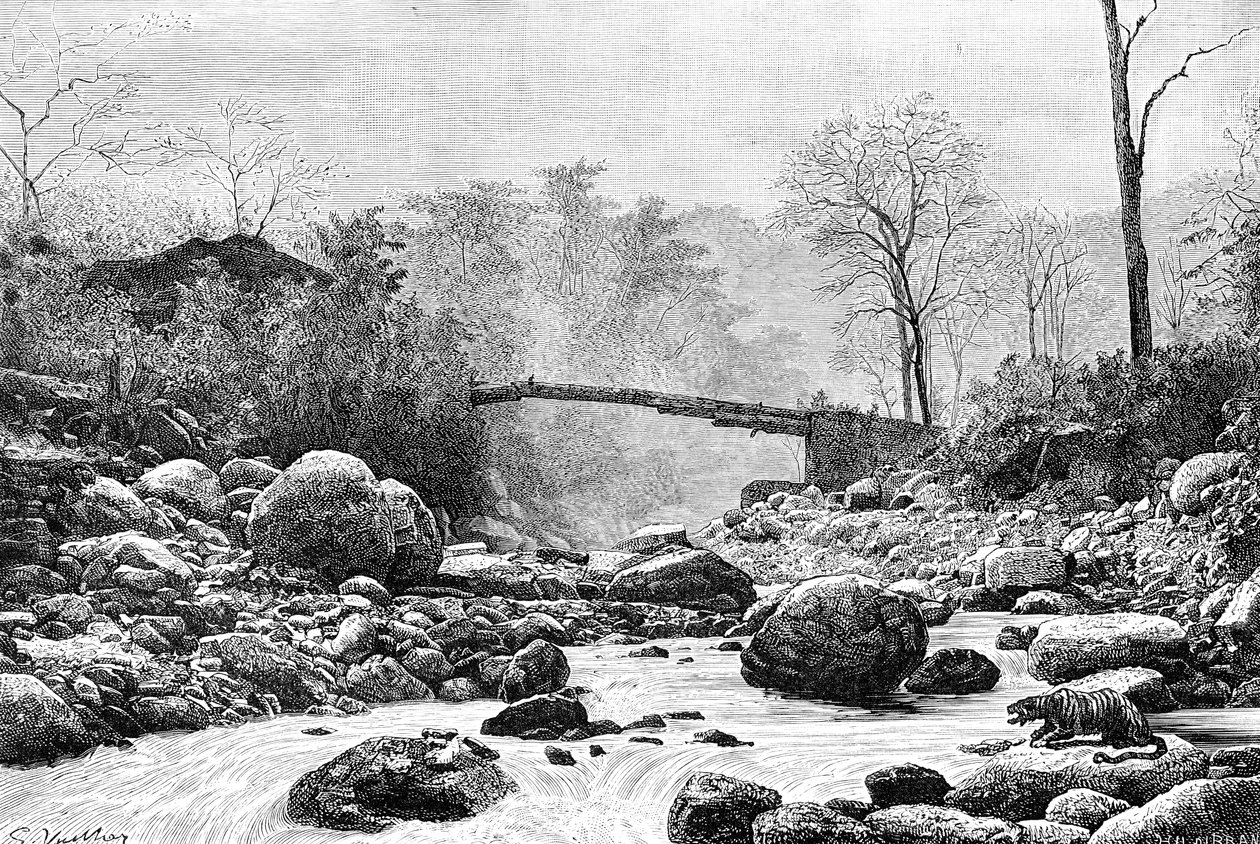 Silta Rangitin, Teesta-joen sivujoen, yli, Intia, 1895 tekijältä Unbekannt