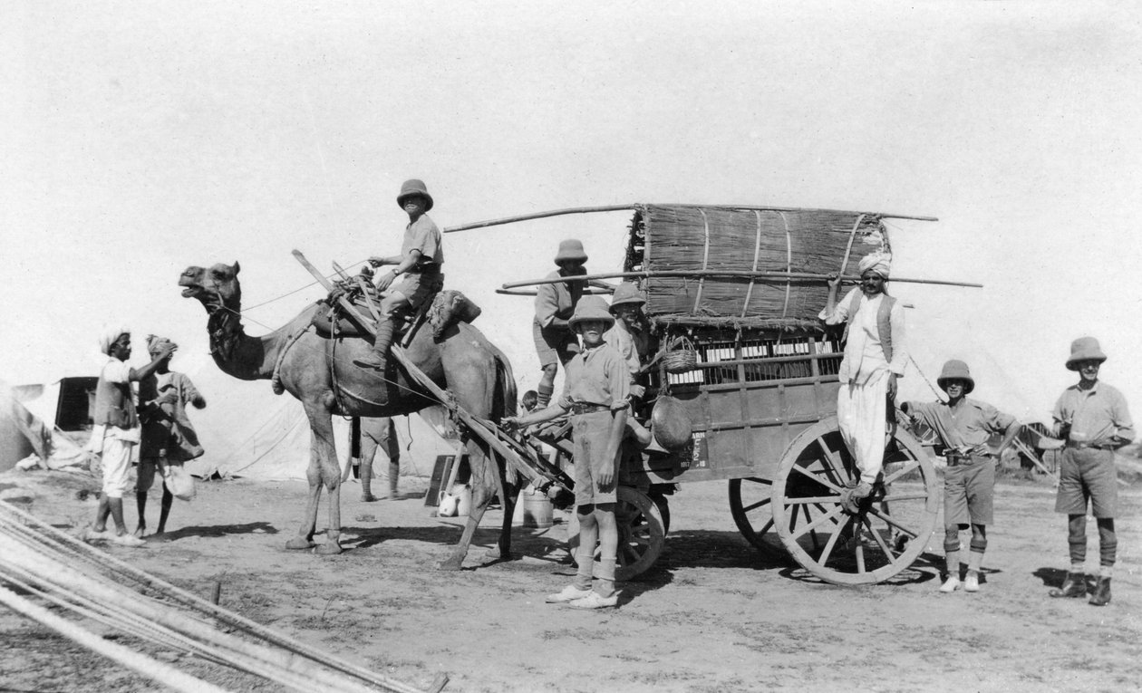 Kamelikärry, Intia, 1916-1917 tekijältä Unbekannt