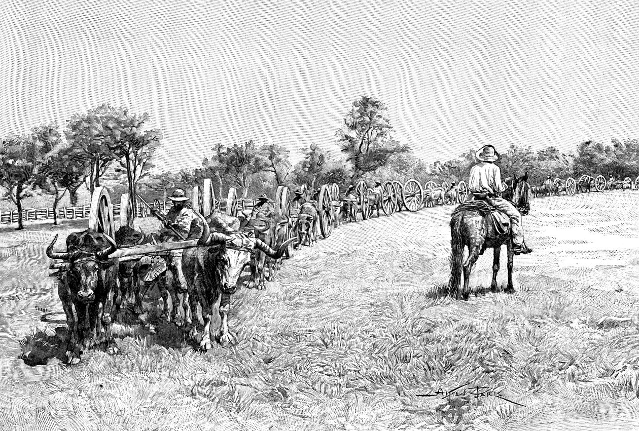 Vaunujen saattue, Etelä-Amerikka, 1895 tekijältä Unbekannt