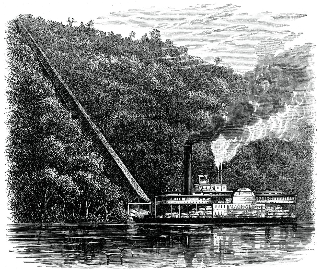 Puuvillakouru, Yhdysvallat, c1880 tekijältä Unbekannt