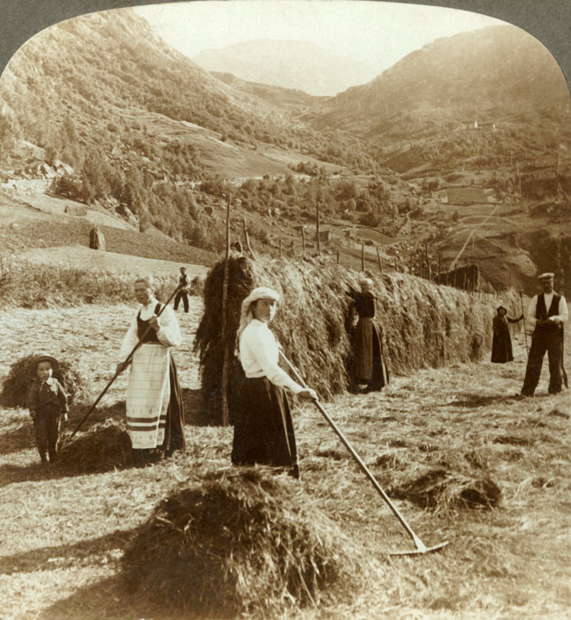 Maanviljelijäperhe tekemässä heinää aurinkoisella pellolla vuorten välissä, Roldal, Norja, c1905. tekijältä Unbekannt